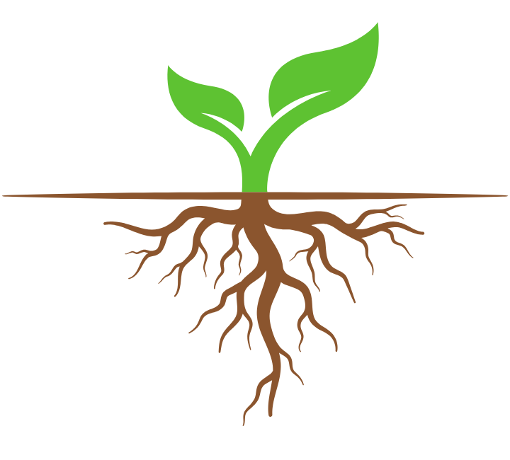 Hiryo_Root_Image