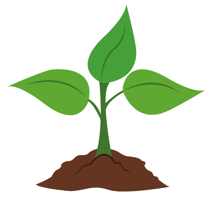 Hiryo_Soil_Image